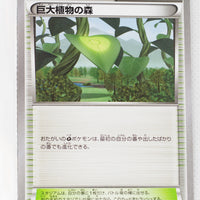 The Best of XY 154/171 Forest Of Giant Plants