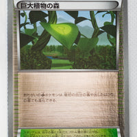 XY CP4 Premium Champion Pack 127/131 Forest of Giant Plants Reverse Holo