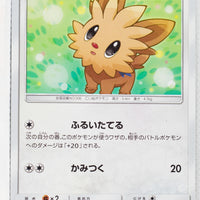 SM1 Collection Sun 046/060 Lillipup