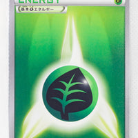 XY1 Collection Grass Energy