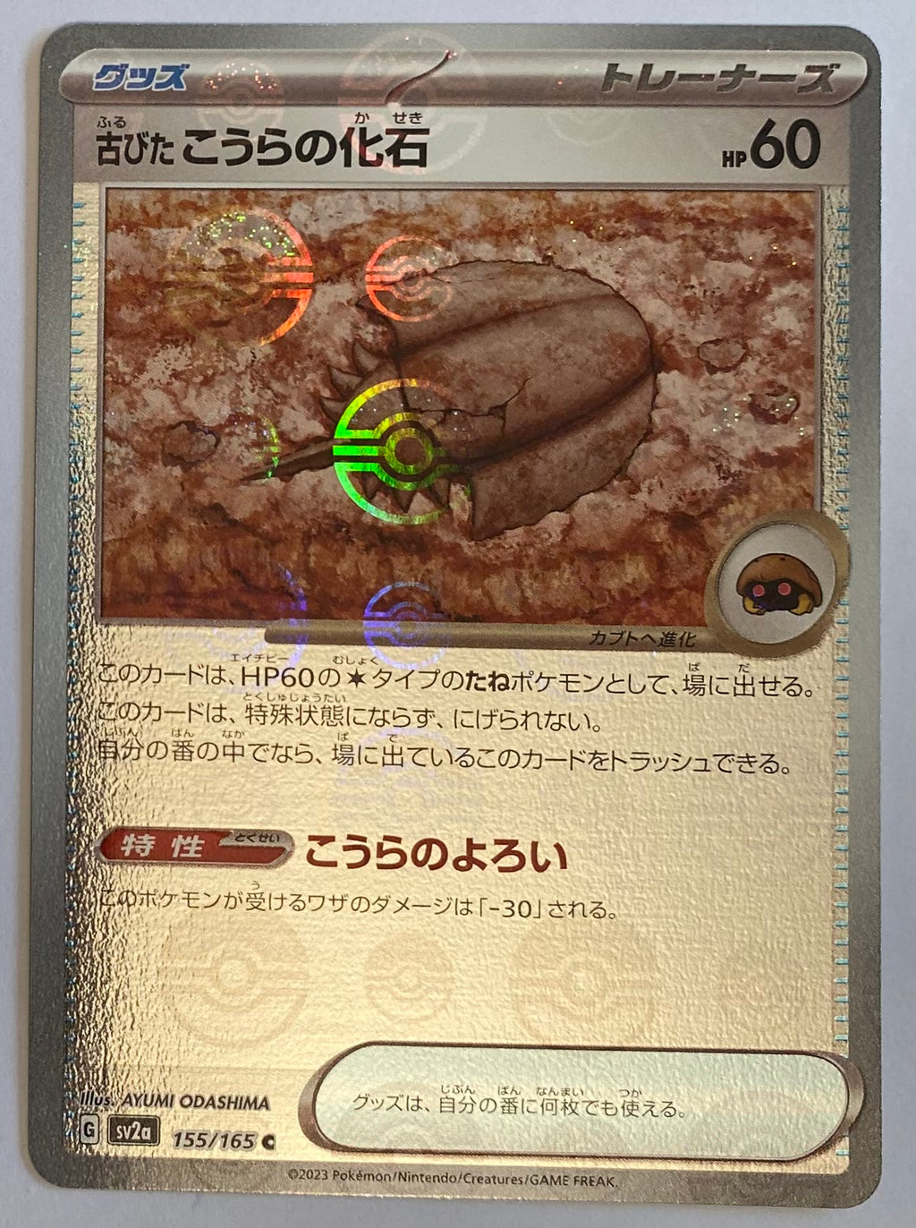 sv2a Japanese Pokemon Card 151 - 155/165 Old Dome Fossil Reverse Holo | TheCardCollector-UK sv2a Japanese Pokemon Card 151 - 155/165 Old Dome Fossil Reverse Holo | TheCardCollector-UK