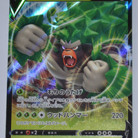 s4a Shiny Star V 009/190 Rillaboom V Holo