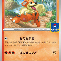 024/SV-P Growlithe - Gym Promo Pack 1 (January 2023)