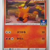 159/S-P Tepig - Pokémon Card Gym Pack 5 (2021)