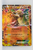 XY 20th Starter Pack 010/072	Charizard EX Holo