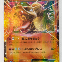 XY 20th Starter Pack 010/072	Charizard EX Holo
