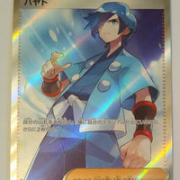 sv1a Japanese Triplet Beat 094/073 Falkner SR Holo