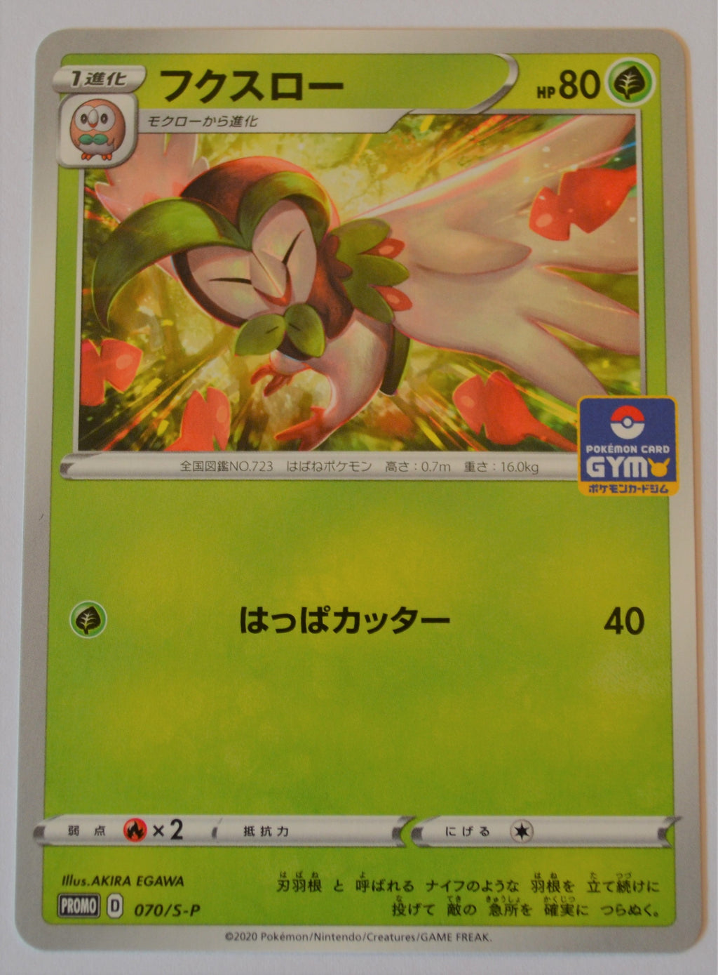 070/S-P Dartrix - Gym Pack July - September 2020