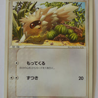 Miracle of Desert 040/053	Zigzagoon Unlimited