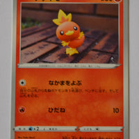 s3 Infinity Zone 010/100 Torchic