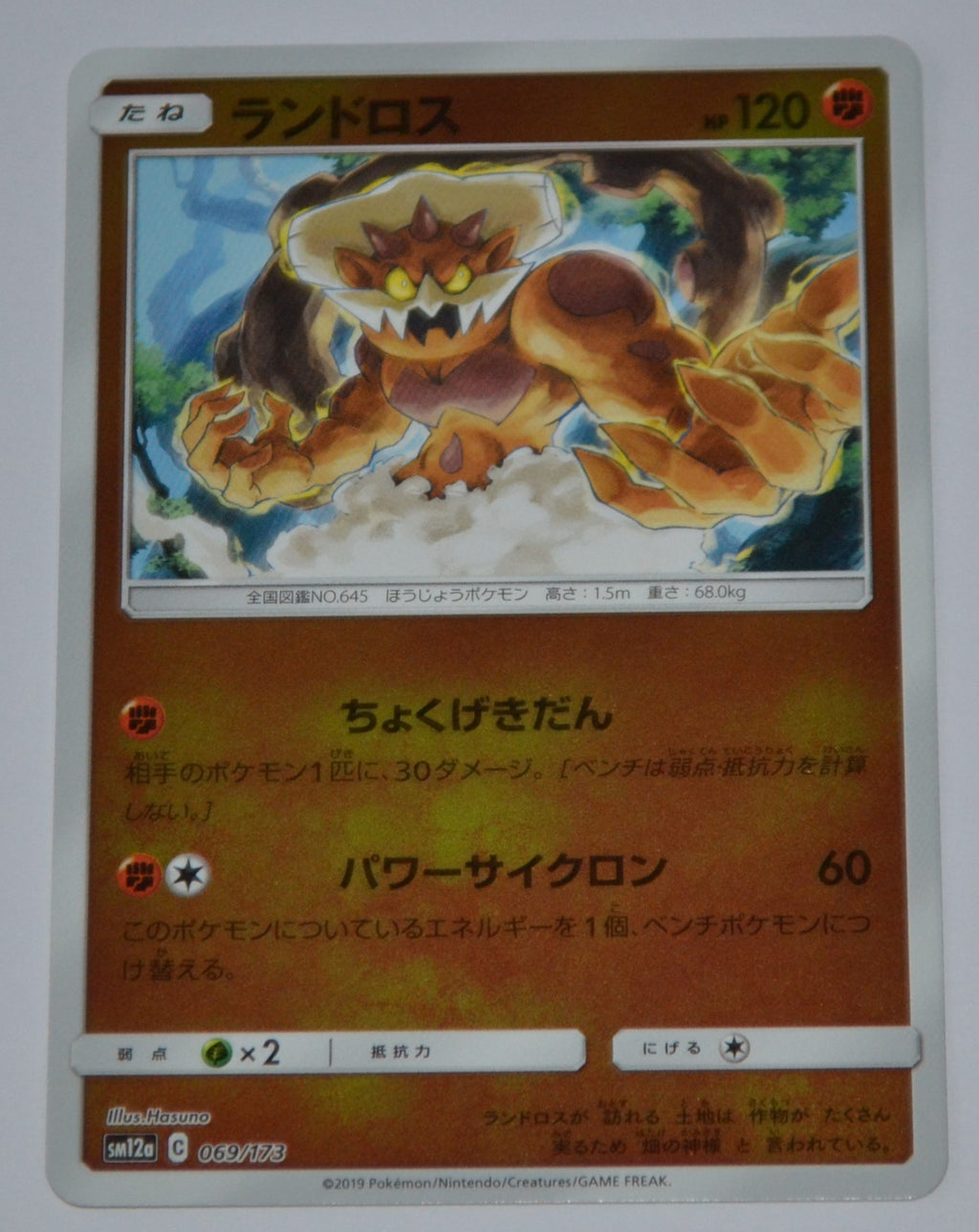 SM12a Tag All Stars 069/173 Landorus Reverse Holo