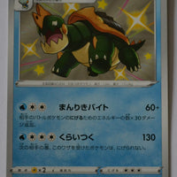 s4a Shiny Star V 228/190 Drednaw S Shiny Holo