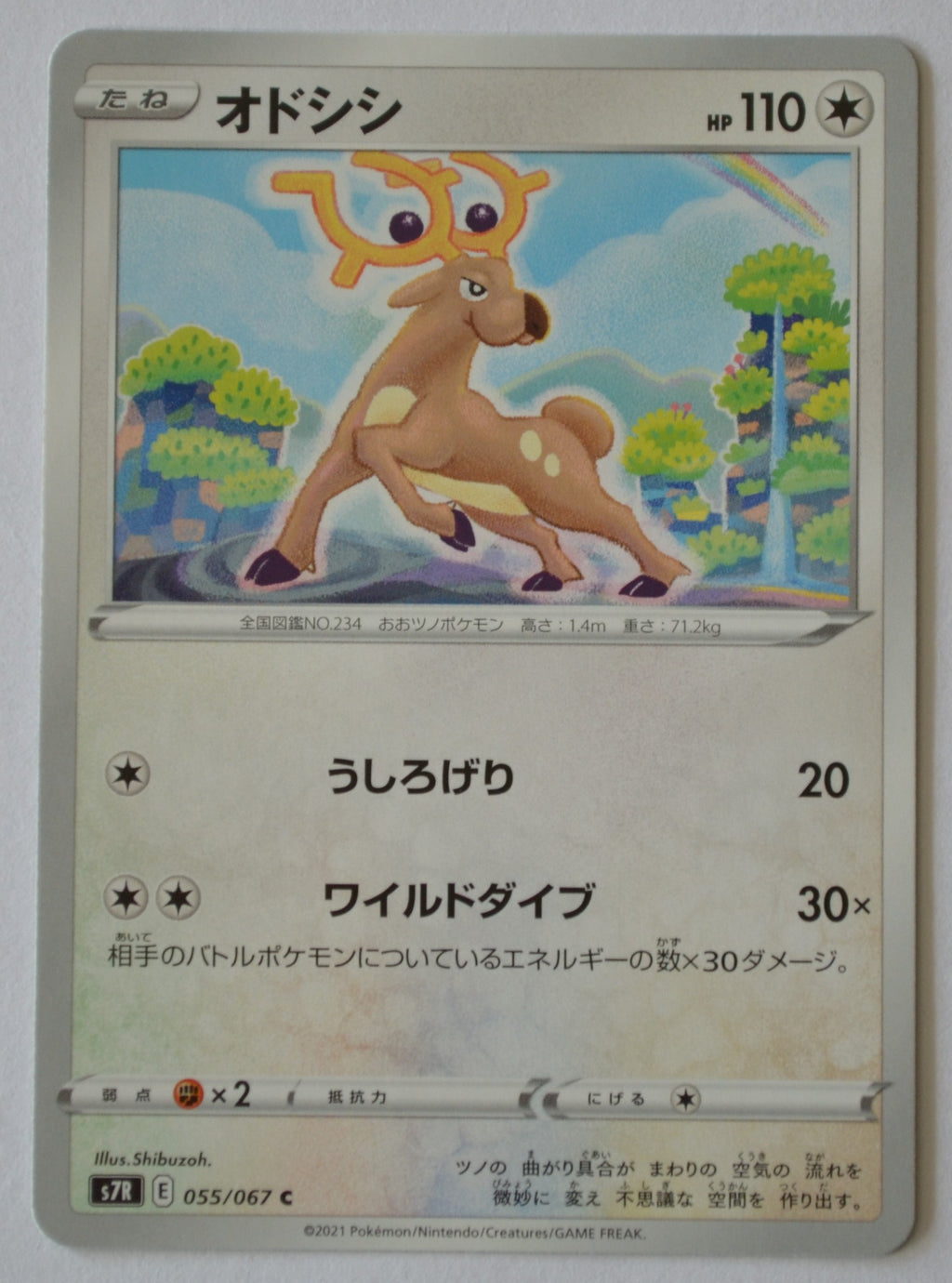 s7R Blue Sky Stream 055/067 Stantler