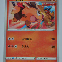 s5l Single Strike Master 010/070 Tepig