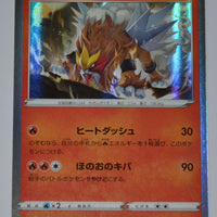 s5l Single Strike Master 009/070 Entei Holo