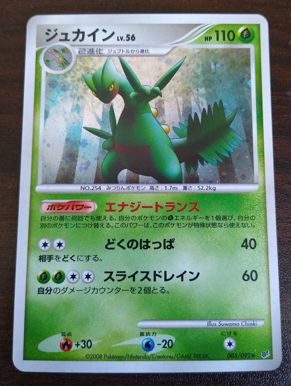 DP6 Intense Fight in the Sky 005/092 Sceptile Holo