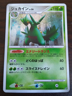 DP6 Intense Fight in the Sky 005/092 Sceptile Holo