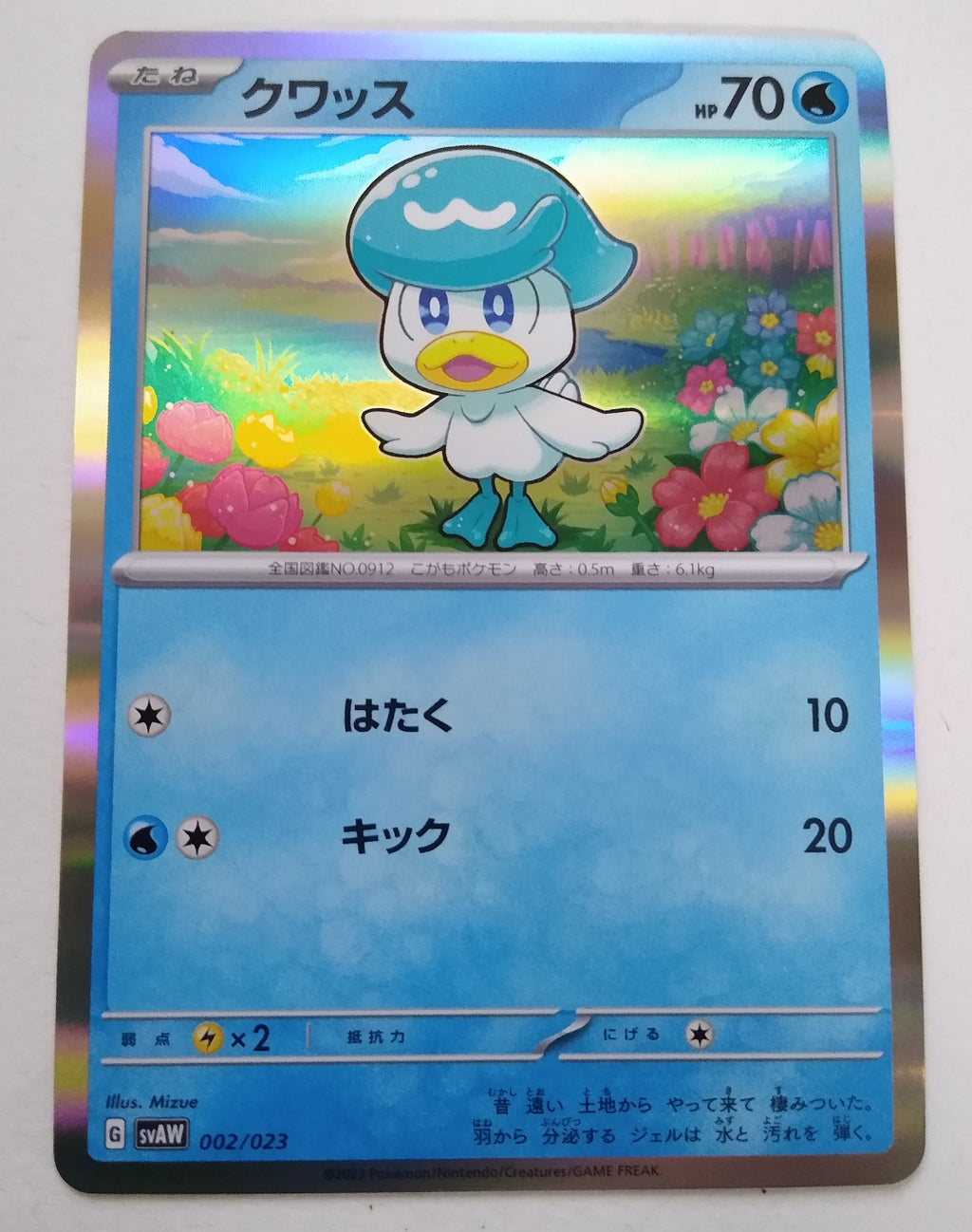 svAW Ex Starter Set 002/023 Quaxly Holo