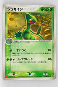 046/ADV-P Japanese Sceptile McDonald's Promotion (January 2004)