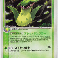 Flight of Legends 017/082	Victreebel Holo 1st Edition