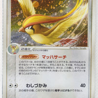 Flight of Legends 064/082	Pidgeot Holo