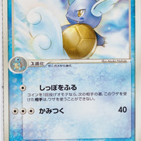 Miracle Crystal 019/075	Wartortle