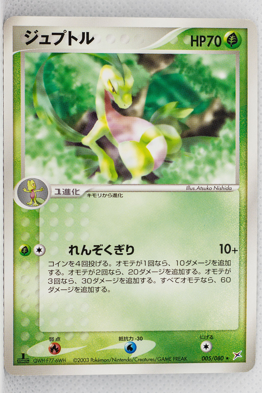 Magma Vs Aqua 005/080	Grovyle Rare 1st Edition