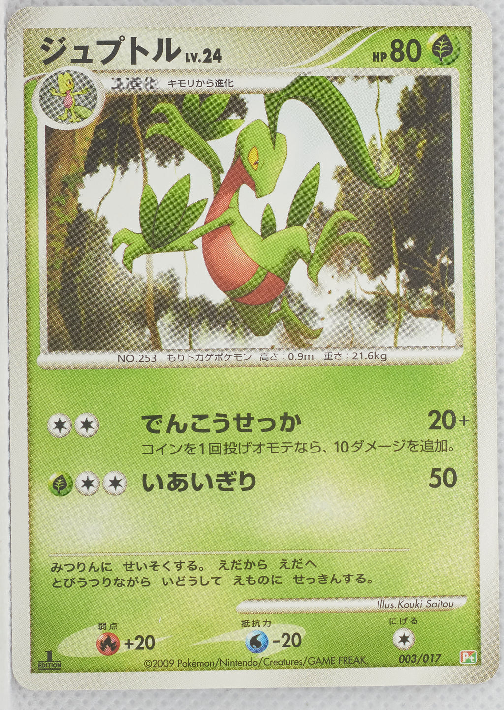 2009 DPt Arceus LV.X Deck: Grass & Fire 003/017	Grovyle 1st Ed