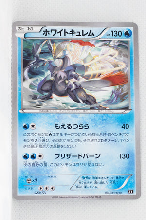 The Best of XY 023/171 White Kyurem