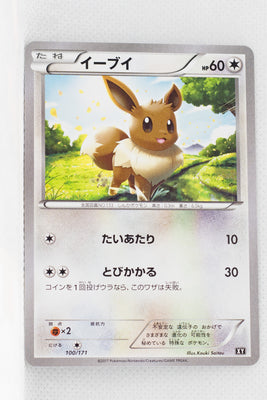 The Best of XY 100/171 Eevee