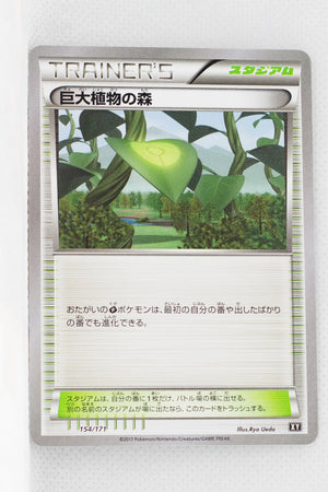 The Best of XY 154/171 Forest Of Giant Plants