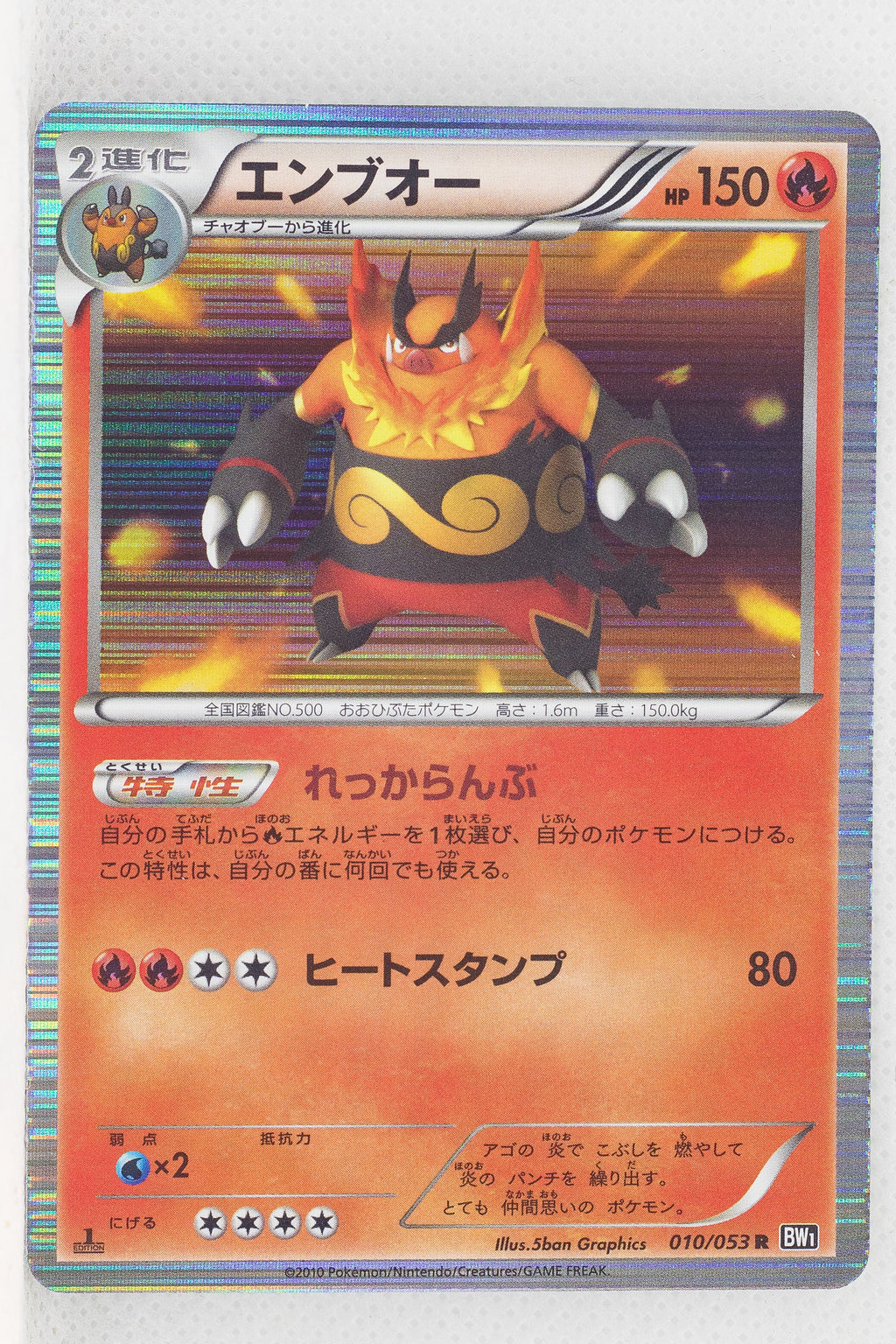 BW1 Black Collection 010/053 Emboar 1st Edition  Holo