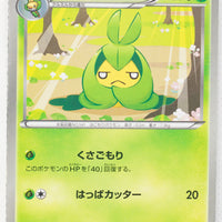 BW1 Black Collection 002/053	Swadloon 1st Edition