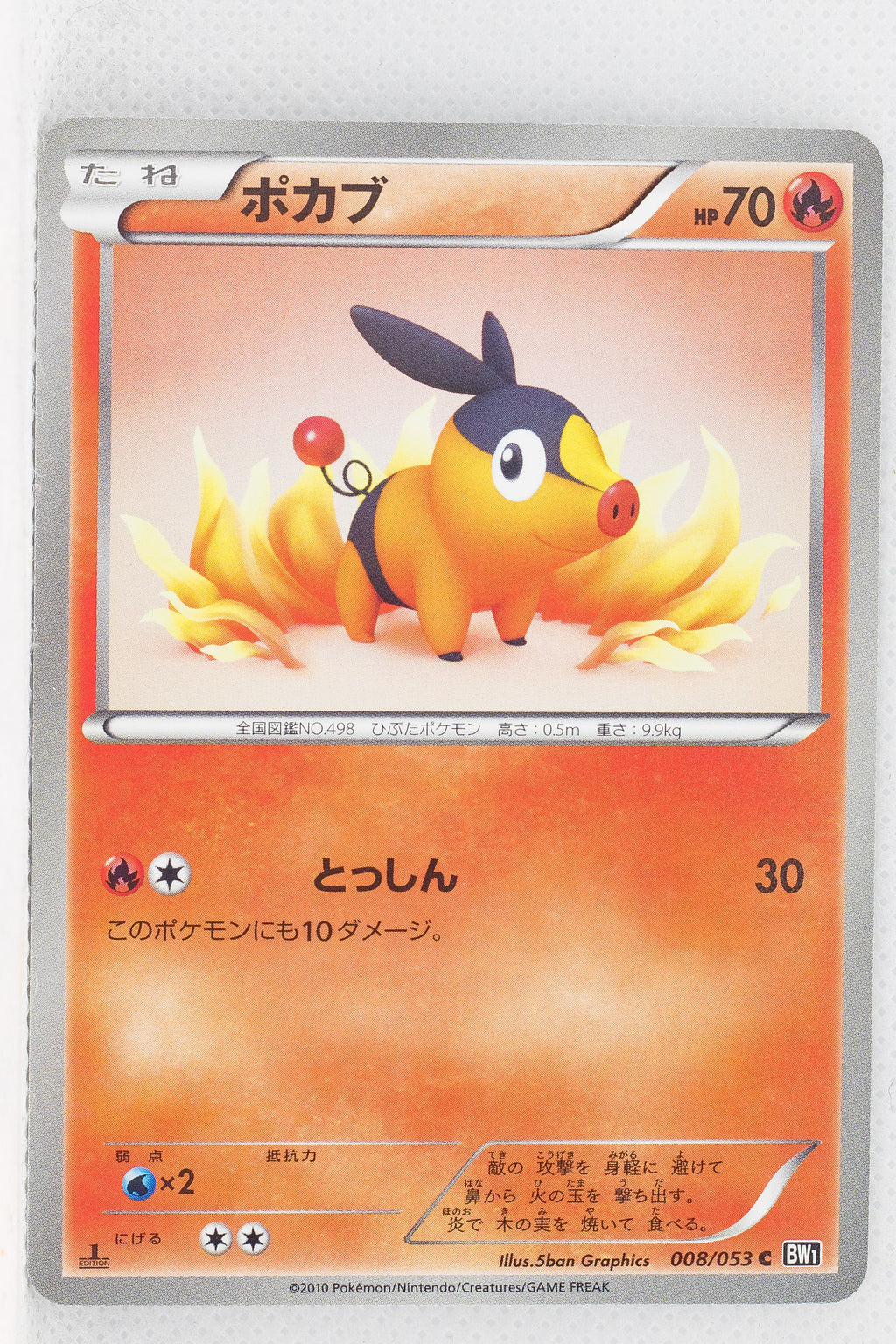 BW1 Black Collection 008/053	Tepig 1st Edition