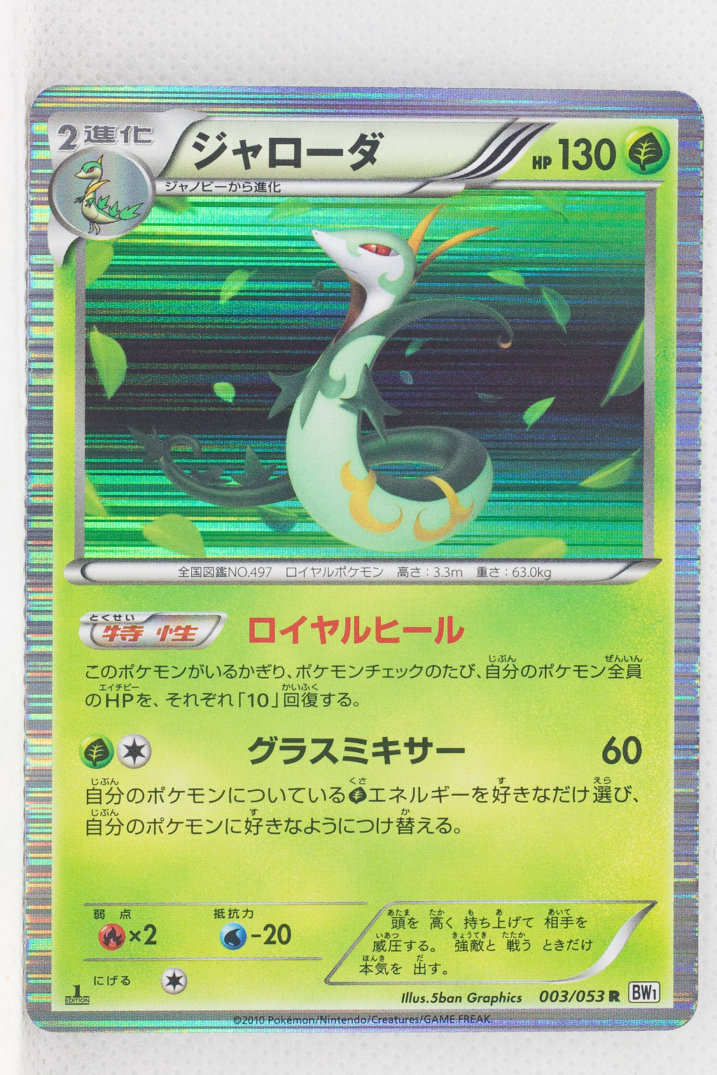 BW1 White Collection 003/053 Serperior 1st Edition Holo