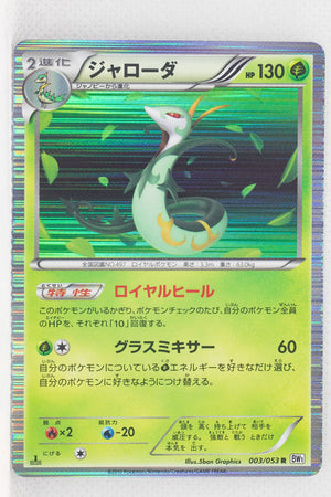 BW1 White Collection 003/053 Serperior 1st Edition Holo