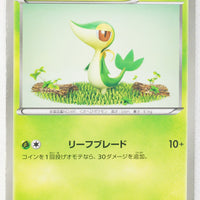 BW1 White Collection 001/053 Snivy 1st Edition
