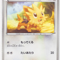 BW1 White Collection 042/053	Lillipup 1st Edition