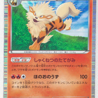 BW3 Hail Blizzard 010/052 Arcanine 1st Edition Holo