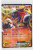 BW4 Dark Rush 009/069 Entei EX 1st Edition Holo