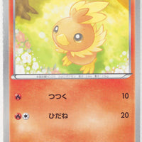 BW4 Dark Rush 010/069	Torchic 1st Edition