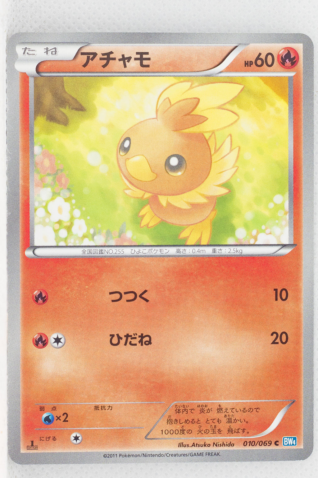 BW4 Dark Rush 010/069	Torchic 1st Edition