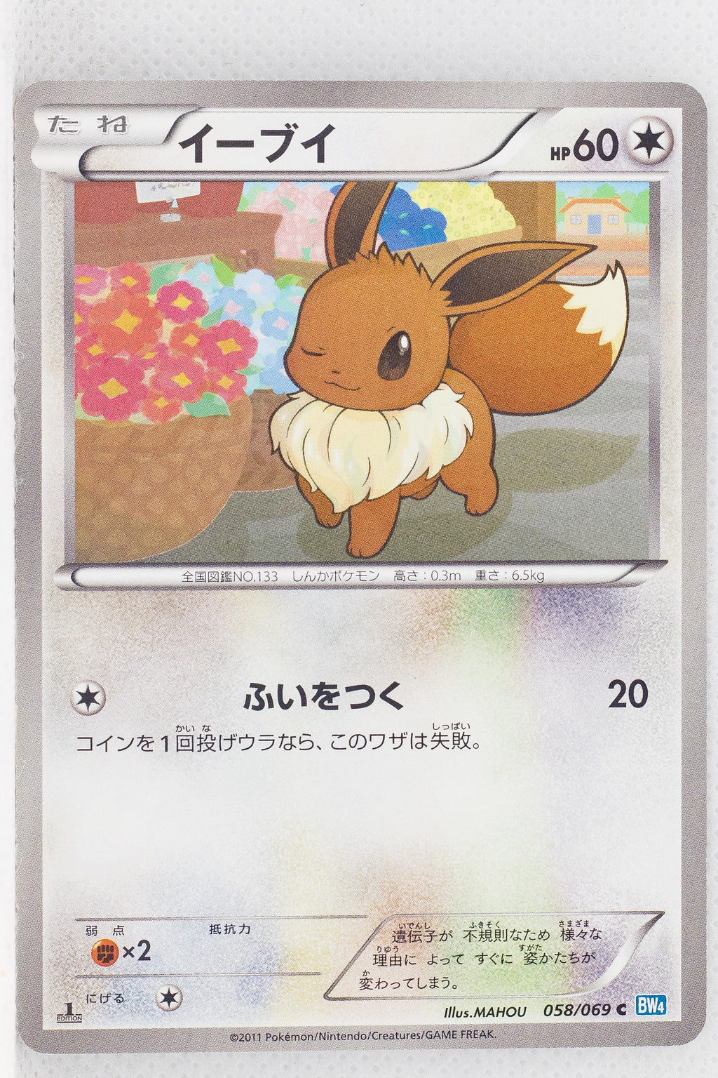 BW4 Dark Rush 058/069	Eevee 1st Edition