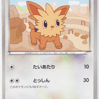 BW4 Dark Rush 059/069	Lillipup 1st Edition