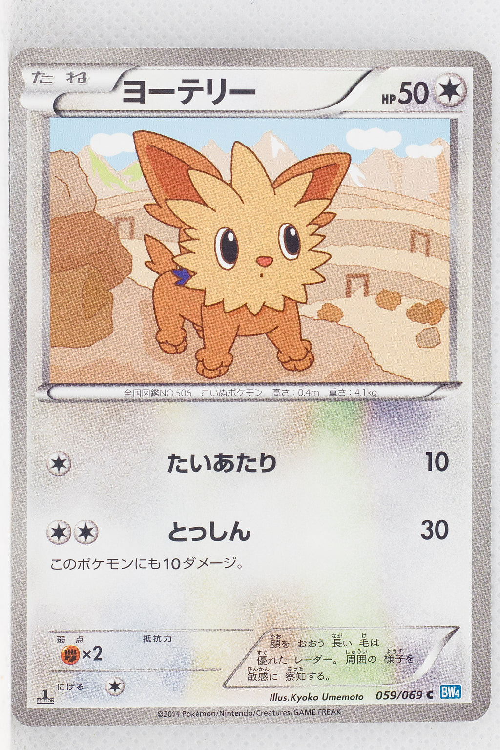 BW4 Dark Rush 059/069	Lillipup 1st Edition