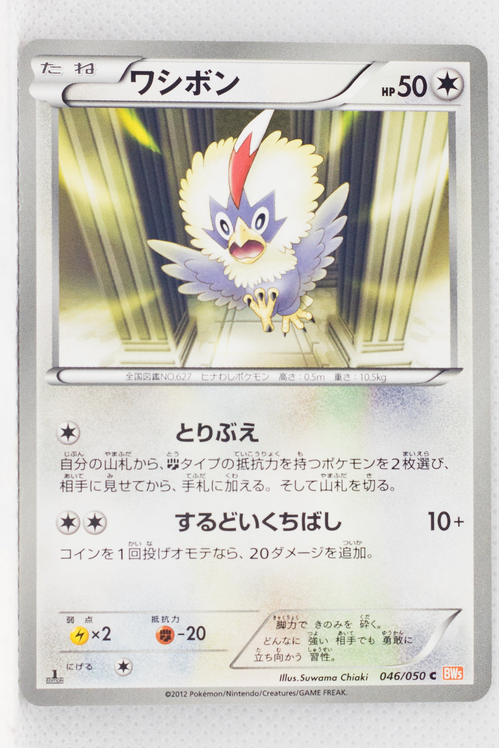 BW5 Dragon Blade 046/050	Rufflet 1st Edition