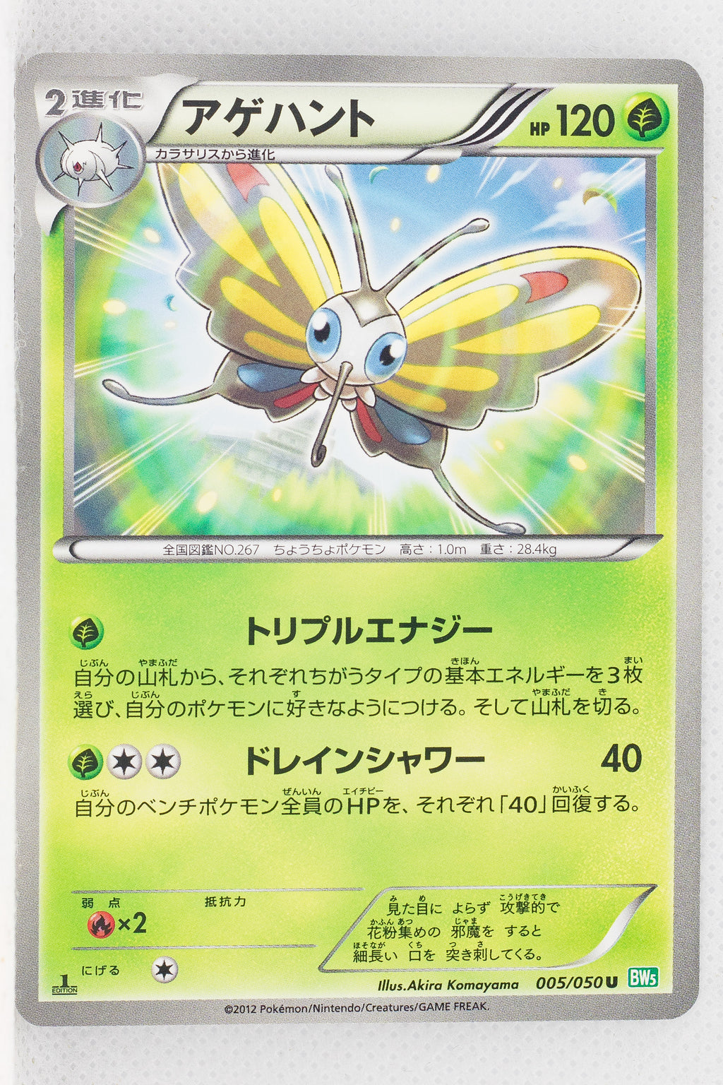 BW5 Dragon Blast 005/050	Beautifly 1st Edition