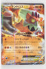 BW6 Freeze Bolt 040/059 Landorus EX 1st Edition Holo