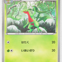 BW8 Spiral Force 004/051	Grovyle 1st Edition