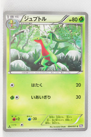 BW8 Spiral Force 004/051	Grovyle 1st Edition